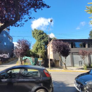 Fideicomiso Elflein 300